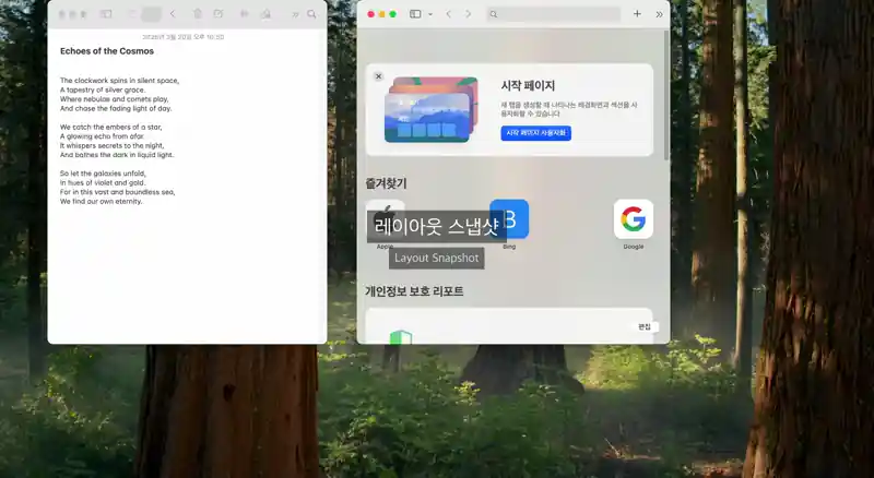 다중 창 배치 스냅샷을 저장하는 Corral